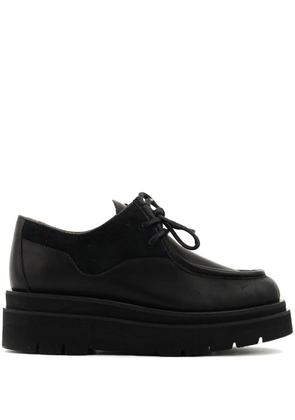 Paul Warmer x Toral Frankie brogues - Black