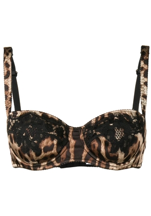 Dolce & Gabbana leopard-print balconette bra - Brown