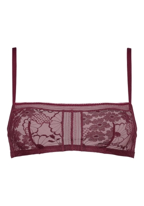 ERES Figue floral-lace bra - Purple