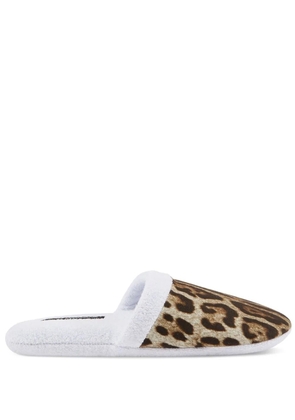 Dolce & Gabbana leopard-print terry slippers - White