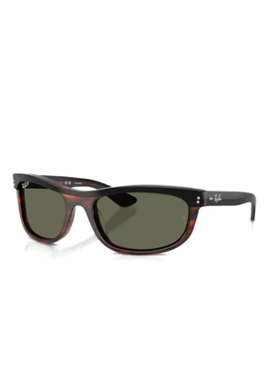 Ray-Ban brown tortoiseshell sunglasses