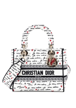 Christian Dior Pre-Owned Lady D-Lite Bag Embroidered Canvas Medium satchel - Multicolour