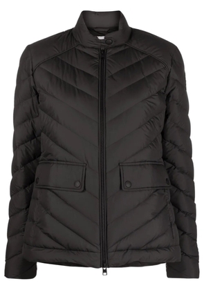 Woolrich zip-fastening padded jacket - Black