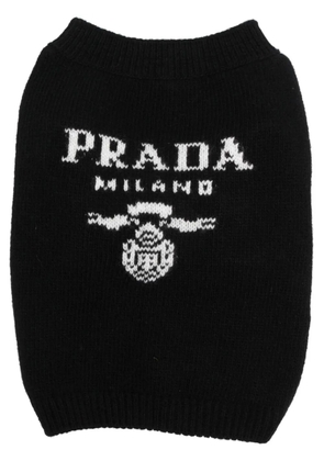 Prada intarsia-knit logo dog jumper - Black