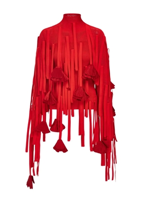 Ferragamo flower-detailed mesh sweatshirt - Red