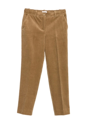 P.A.R.O.S.H. corduroy cotton trousers - Brown