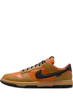Nike Gore-Tex Dunk low-top trainers - Brown