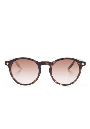 Snob Doguito glasses - Brown