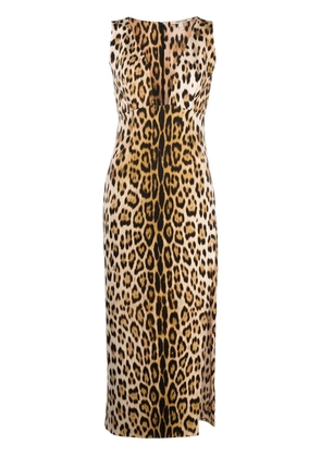 Roberto Cavalli leopard-print plunge midi dress - Neutrals