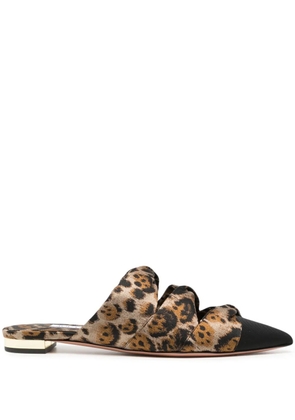 Aquazzura Mini Twist pointed-toe leopard-print mules - Brown
