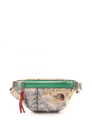 Gucci Pre-Owned 2016-2025 The North Face Econyl belt bag - Brown