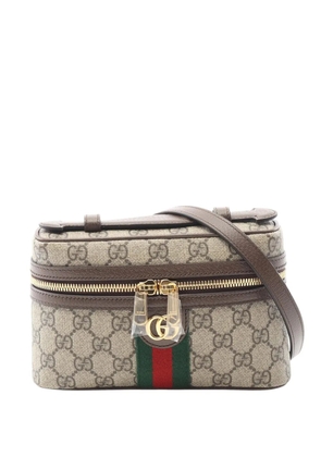 Gucci Pre-Owned 2016-2025 Small GG Supreme Ophidia Vanity Bag satchel - Brown