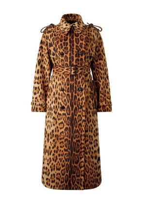 Roberto Cavalli jaguar-print belted trench coat - Brown