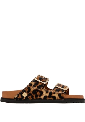 BIRKENSTOCK 1774 Arizona sandals - Brown