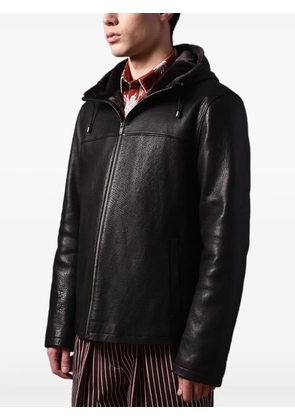 Poche Paris hooded jacket - Black