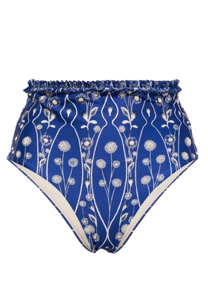 Agua By Agua Bendita Nopal floral-print bikini bottoms - Blue