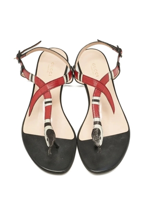 Gucci Pre-Owned Yoko kingsnake sandals - Red