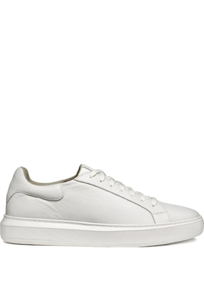 Geox Deiven lace-up sneakers - White