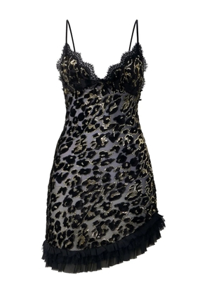 Roberto Cavalli lace-trimmed leopard-pattern mini dress - Black