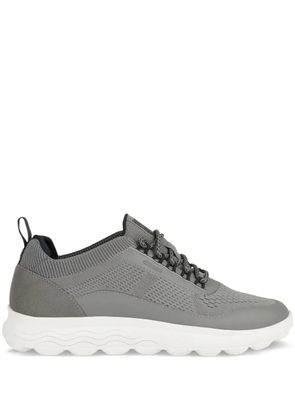 Geox Spherica sneakers - Grey