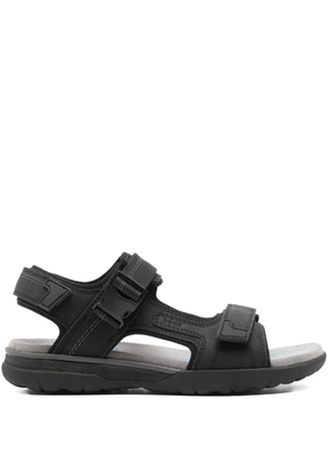 Geox buckle-strap sandals - Black