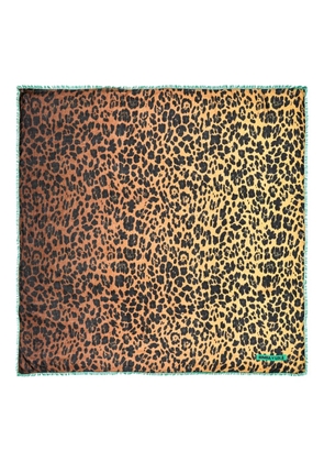 Bimba y Lola animal-print fringed scarf - Brown