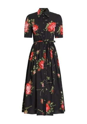 Dolce & Gabbana floral-print belted midi dress - Black