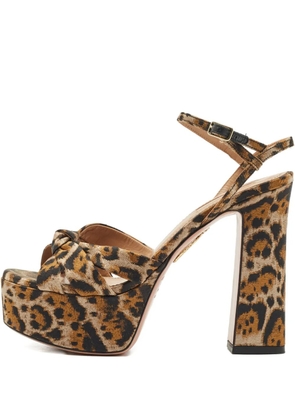 Aquazzura Baba Plateau jacquard platform sandals - Brown