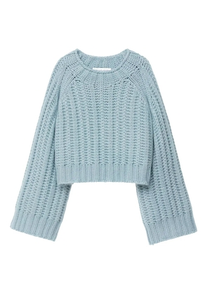 Iris Von Arnim round-neck sweater - Blue