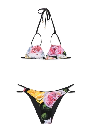 Dolce & Gabbana DNA floral-print bikini - Black