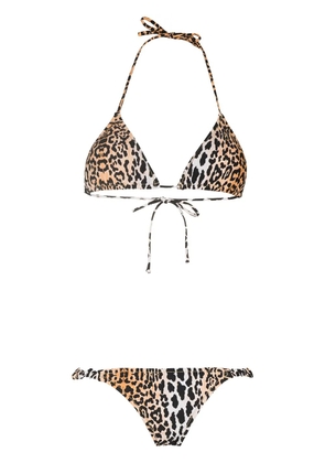 Reina Olga The Scrunchie leopard print bikini - Black