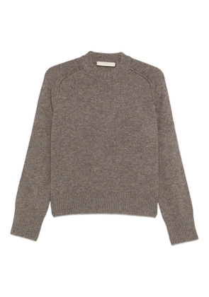 Vanessa Bruno Fresia sweater - Brown