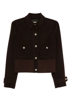 Maje button-fastening ribbed bomber jacket - Brown