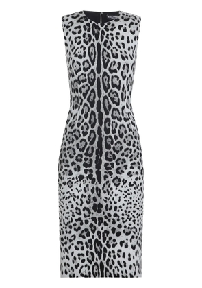 Dolce & Gabbana animal-print midi dress - White