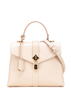 Louis Vuitton Pre-Owned 2019 Grained Smooth Calfskin Rose Des Vents PM satchel - Brown