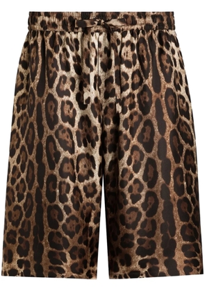 Dolce & Gabbana leopard-print shorts - Brown