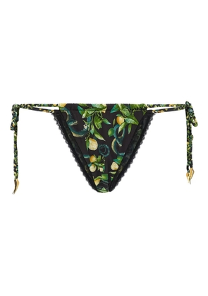 Roberto Cavalli lemon-print tie-side biquini bottom - Black