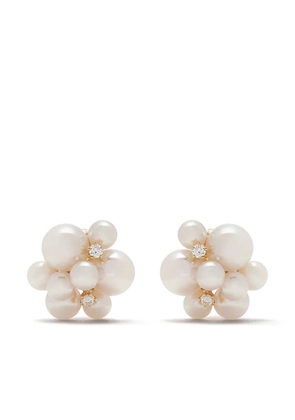 TASAKI 18kt yellow gold Akoya pearl earrings