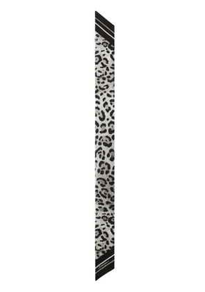 Dolce & Gabbana leopard-print scarf - Black
