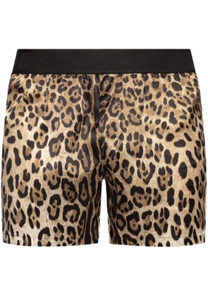 Dolce & Gabbana leopard-print silk boxers - Brown