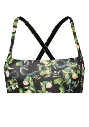 Roberto Cavalli lemon-print bikini top - Black