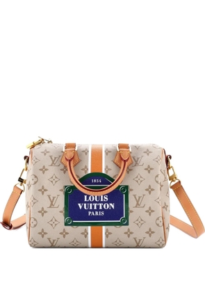 Louis Vuitton Pre-Owned Speedy Bandouliere Bag Monopaname Canvas 25 satchel - Neutrals