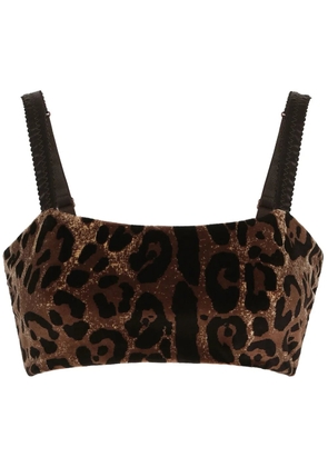 Dolce & Gabbana leopard-print sleeveless crop top - Brown