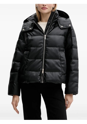 Armani Exchange hooded padded jacket - Black