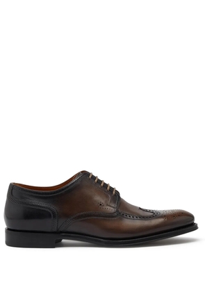 Dolce & Gabbana brogue detail derby shoes - Brown