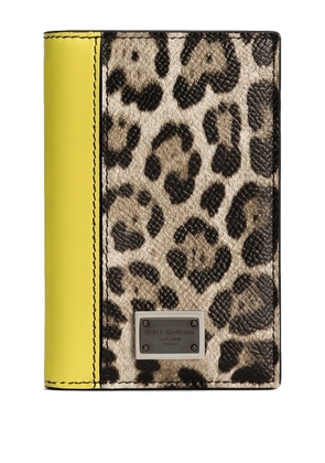 Dolce & Gabbana Dauphine cardholder - Neutrals