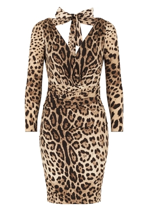 Dolce & Gabbana leopard-print dress - Neutrals