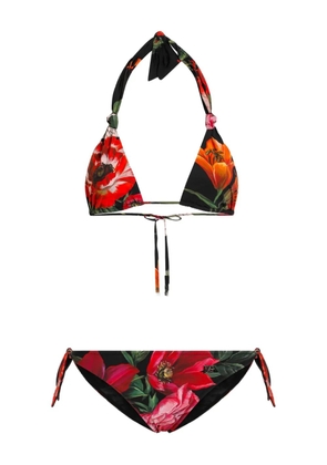 Dolce & Gabbana floral-print swimsuit - Black