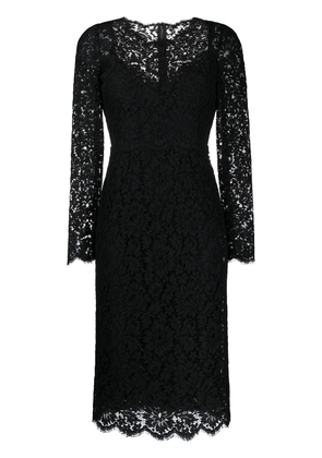 Dolce & Gabbana cordonetto-lace midi dress - Black