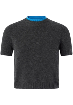 PINKO Savannah sweater - Grey